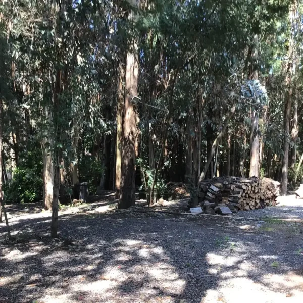 638287718_4230741523808215_8737077098438469518_n